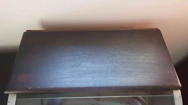 20250727_104556-2
