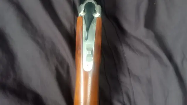 IMG_20250823_114009_069