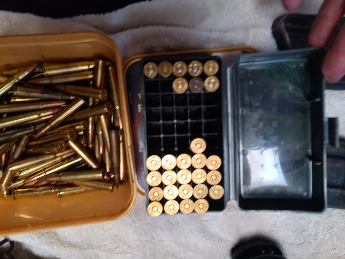 IMG_20251106_154556_144