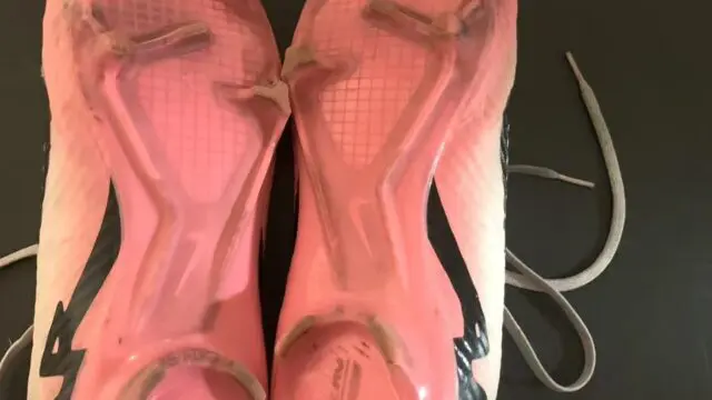 图片_20251030202539_17_31