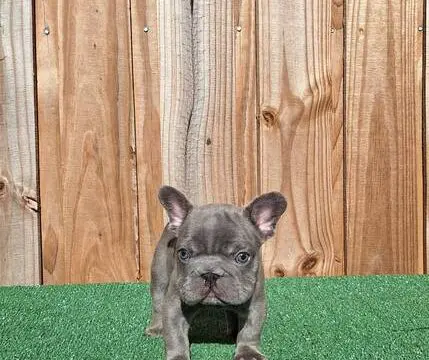 00w0w_3YaGdo9DpwX_0t20CI_600x450