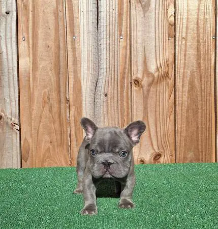 00w0w_3YaGdo9DpwX_0t20CI_600x450