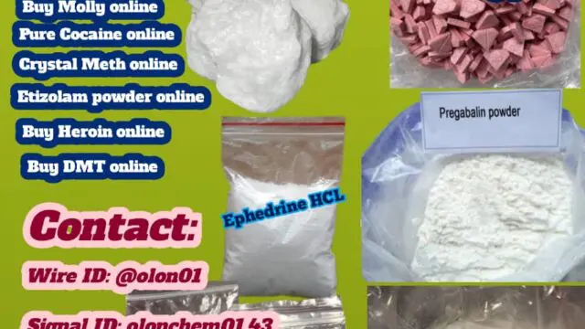 IMG-20251013-WA00101