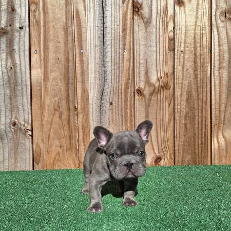 00b0b_1whk0RYa6JW_0t20t2_600x450